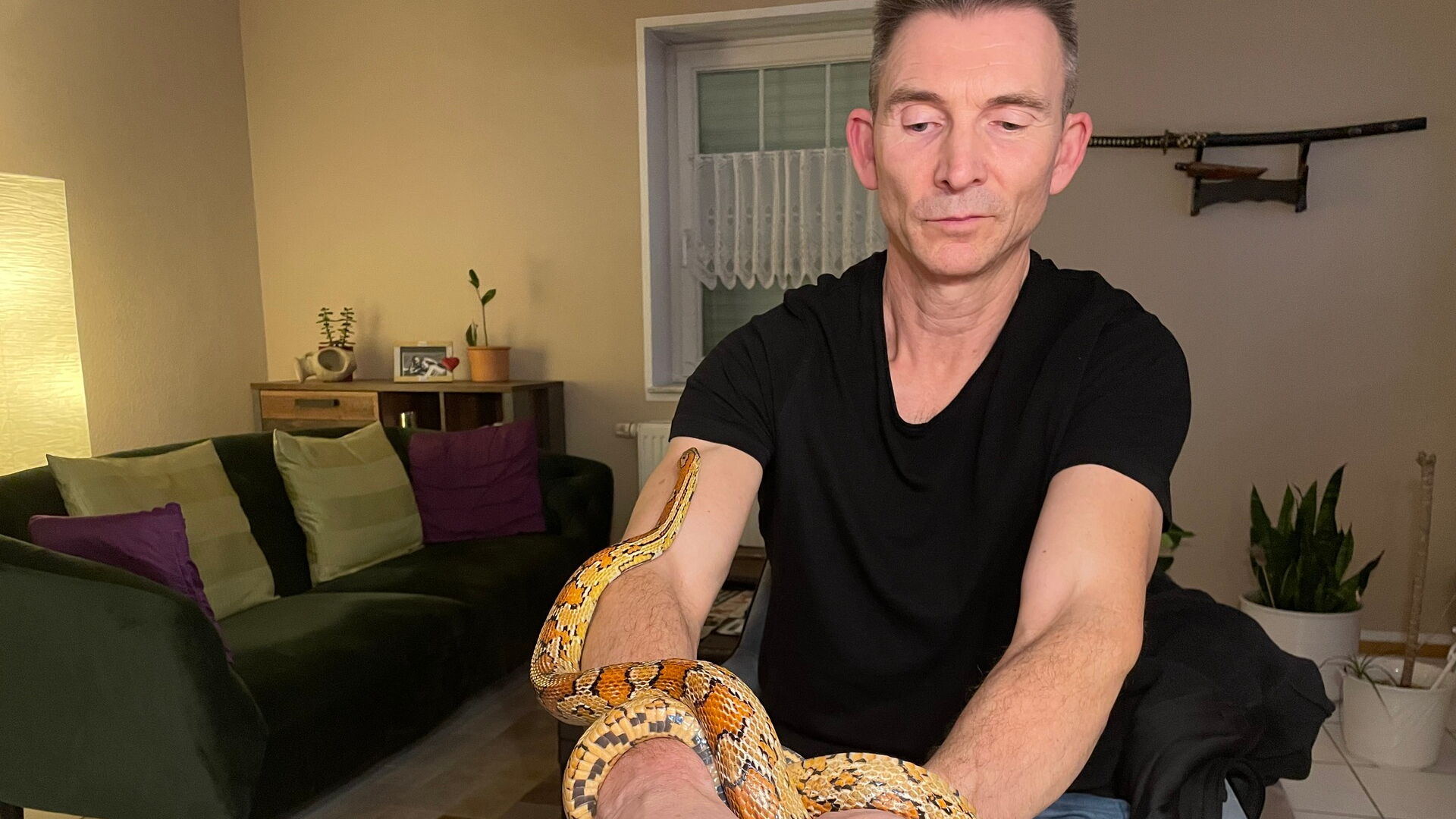 01 News Bild John